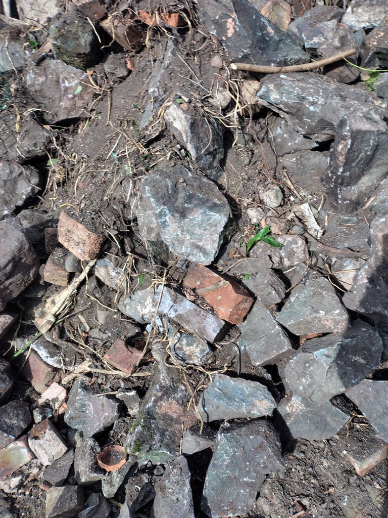 Free rocks garden 