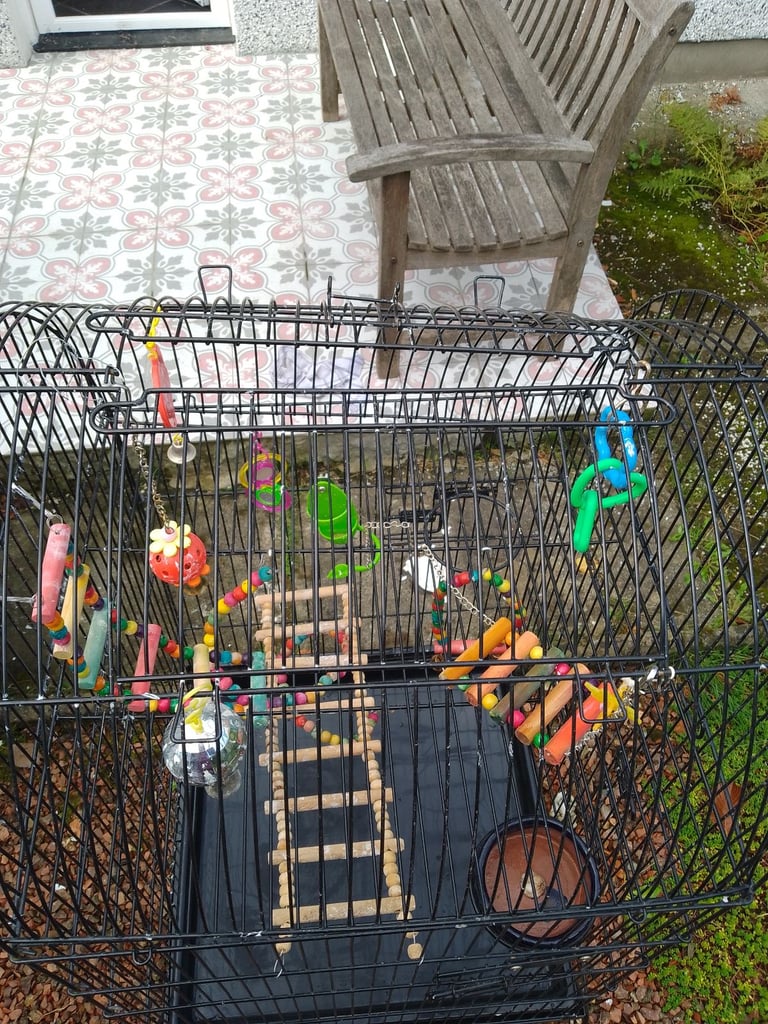 image for Bird cage 
