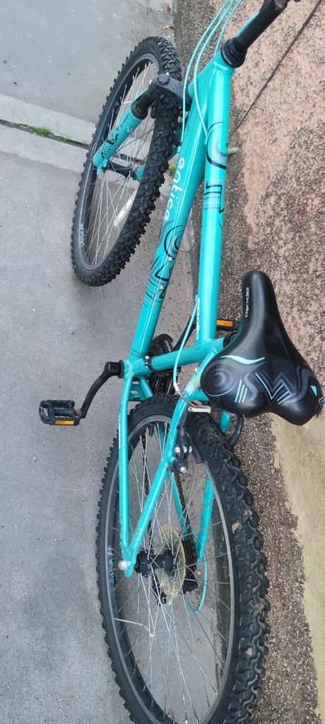 Bicycle (adult bike)