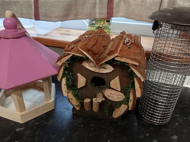 Wild bird items in Willesborough, Kent Gumtree