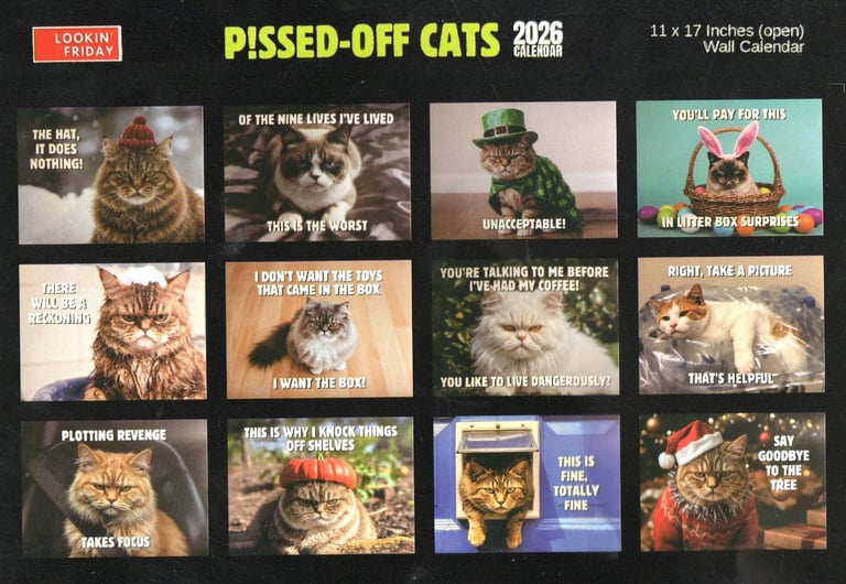 Humorous cat calendar for 2026 - nice large by Month size