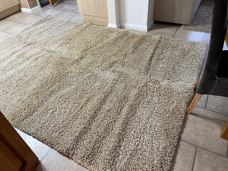 image for Soft Fluffy 5cm Thick Pile Shaggy Area Rugs for Living Room 200*290 
