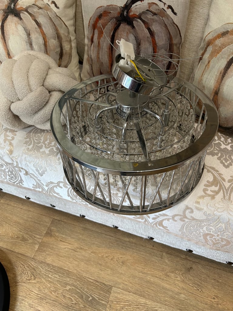 Ceiling light cost £100 new 