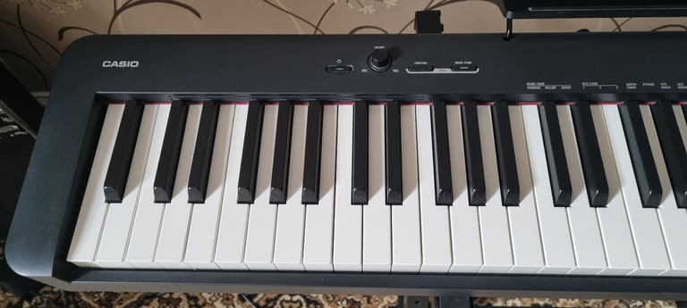 Casio CDP S100 Digital Piano. £255 on Amazon