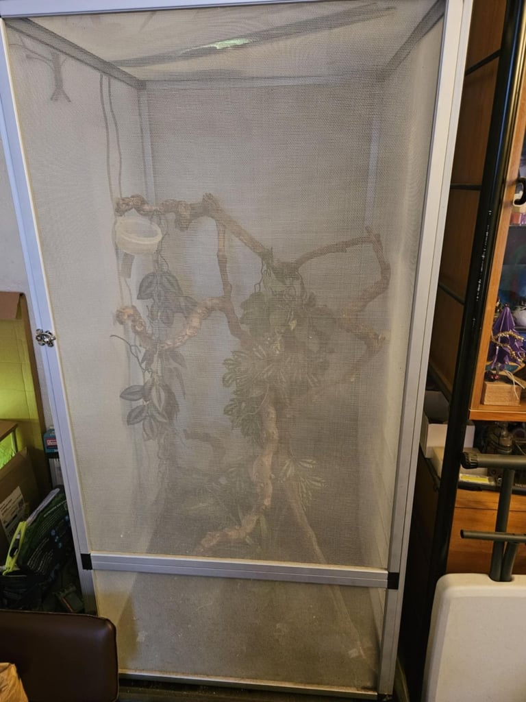 Mesh Vivarium + accessories