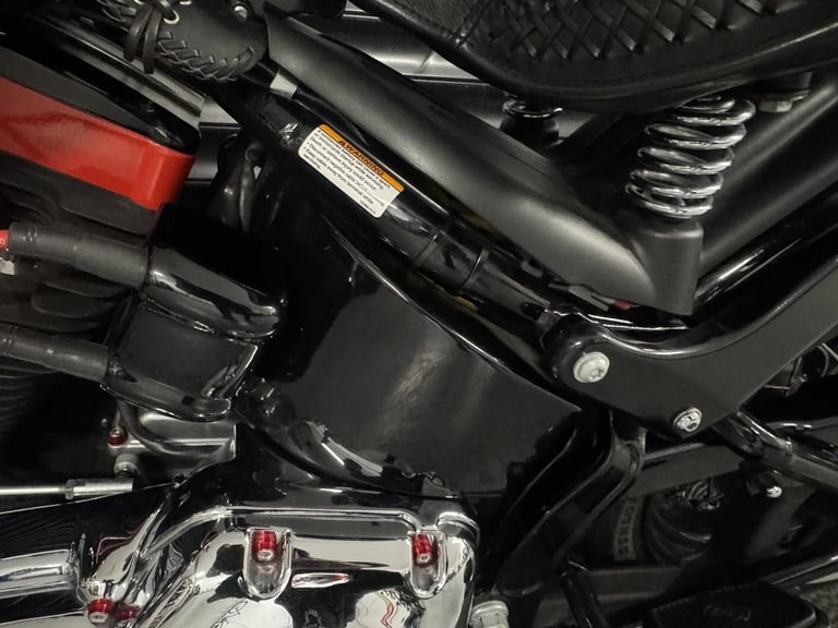 HARLEY-DAVIDSON FLSTSB CROSS BONES Softail Springer