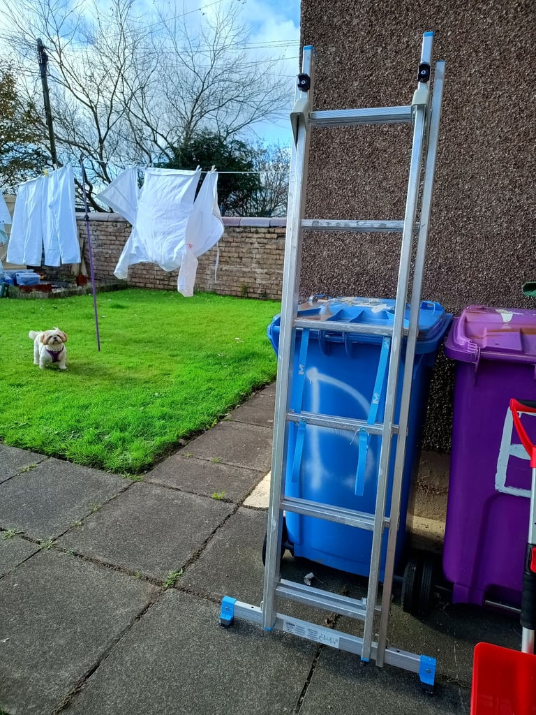 McAllister ladders 3 way