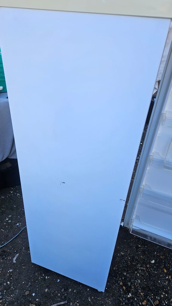Tall fridge / free delivery 