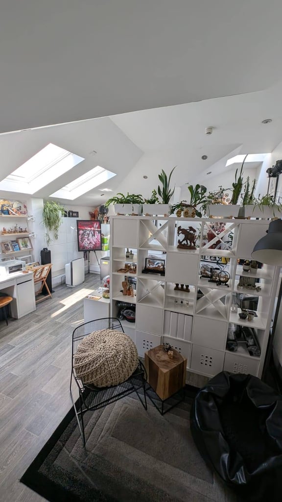 Amazing Creative Studio