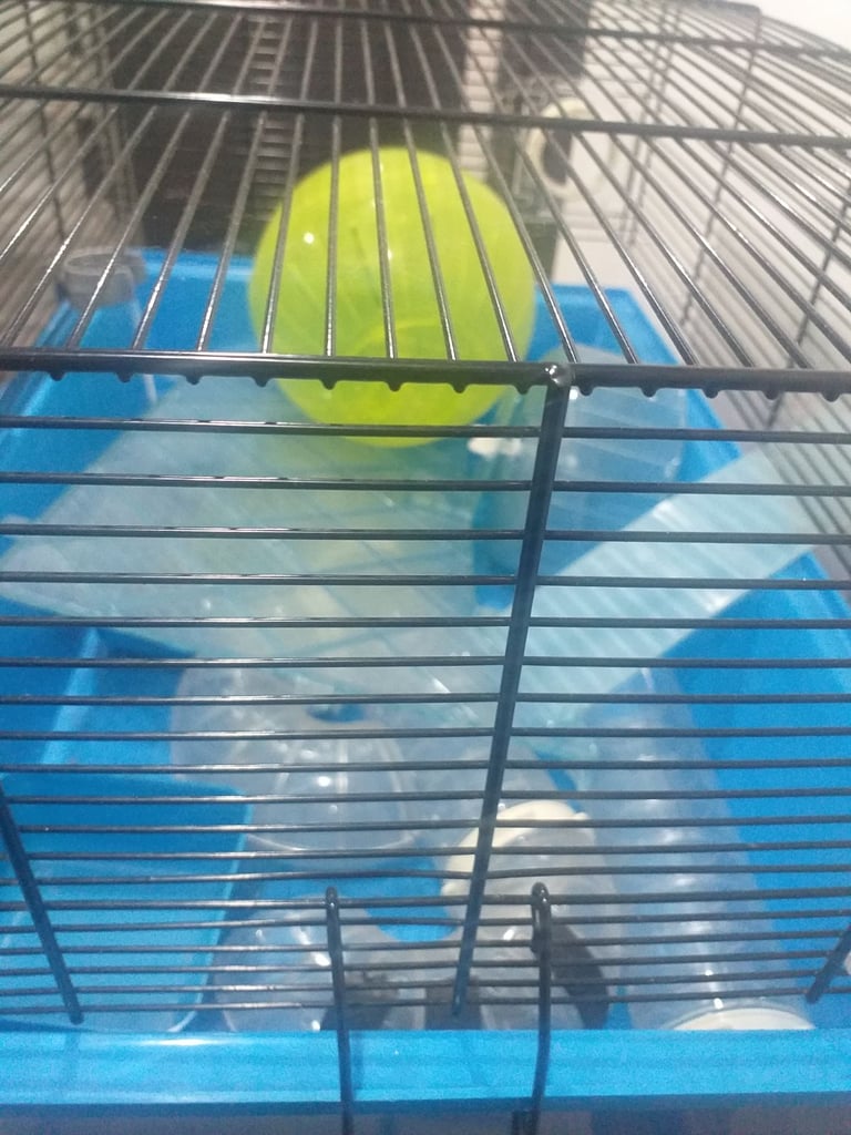 Hamster cage 