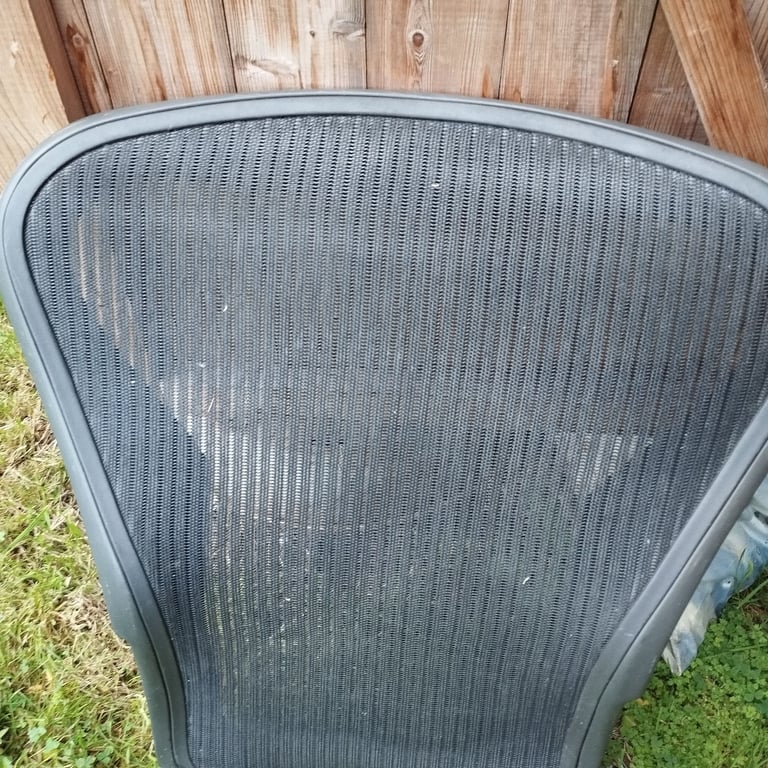 image for Herman Miller Caair Back