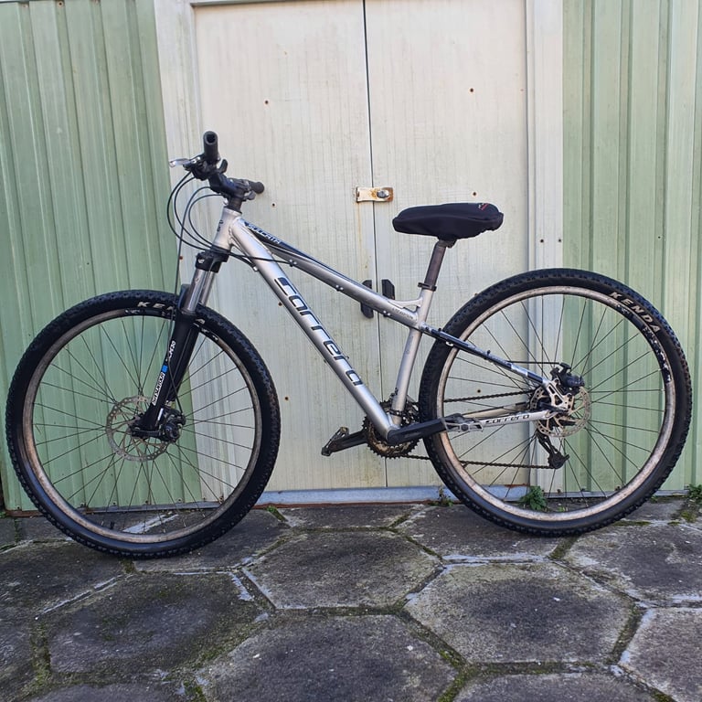 image for Carrera sulcata 