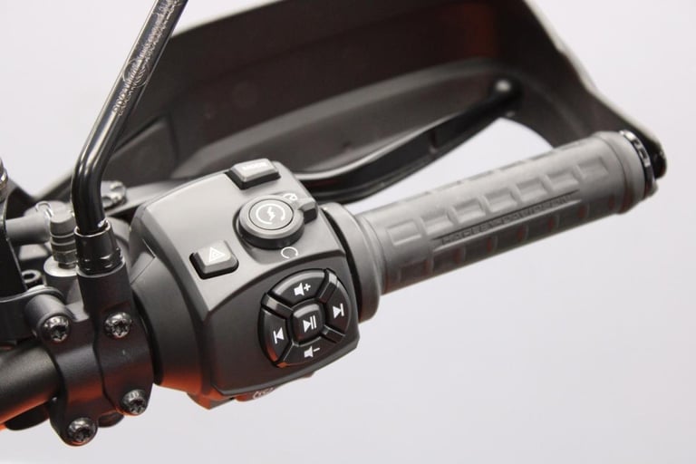 2021 Harley-Davidson RA1250S Pan America Special in Baja Orange White