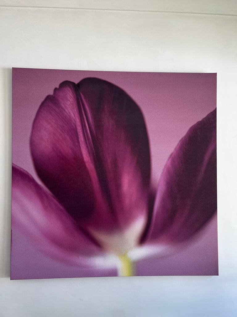 Tulip Print on canvas