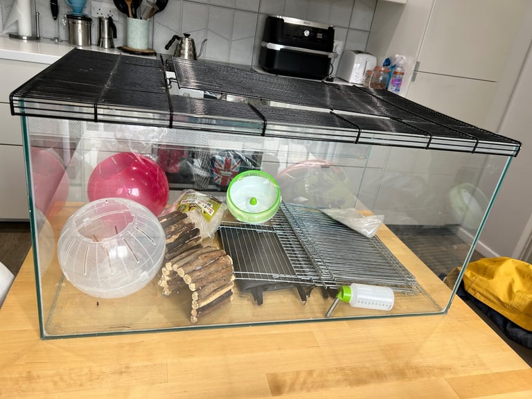 Gerbilarium tank