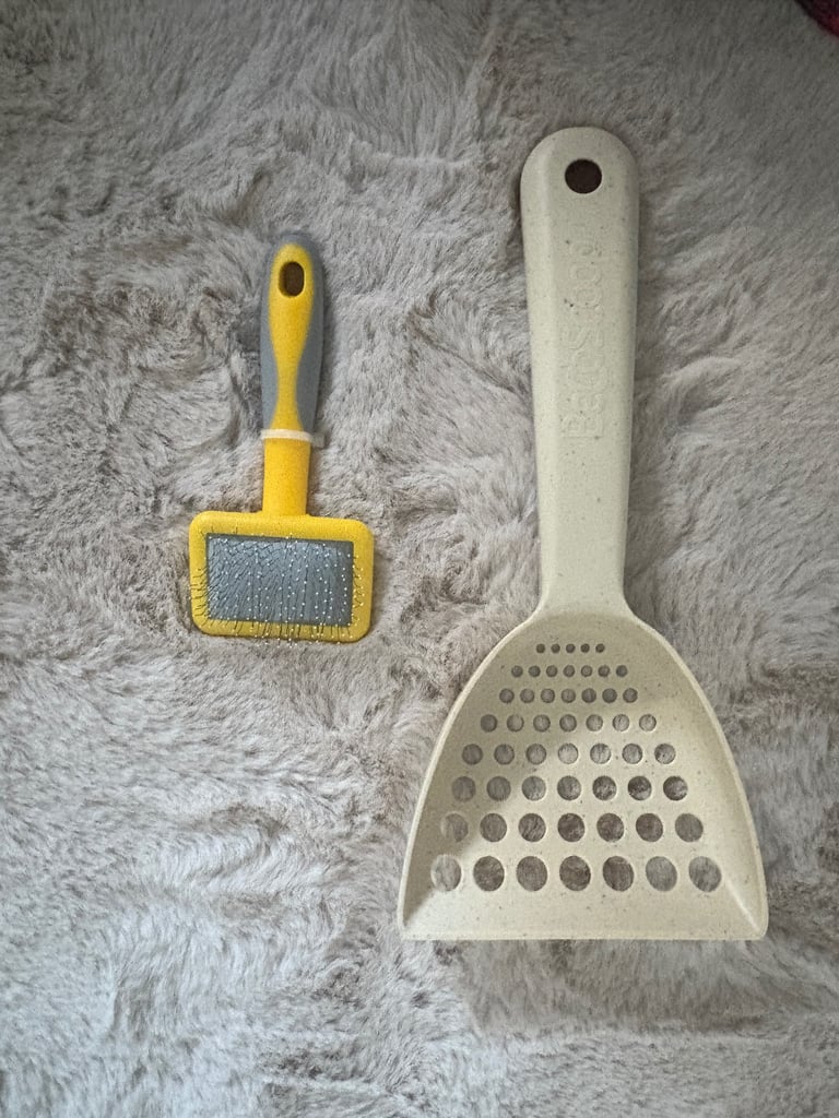 two friendly rabbits , pen,cage,accessories 