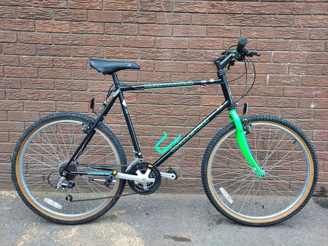 RALEIGH KANDARA BIKE RBK 3495 in Reading, Berkshire Gumtree