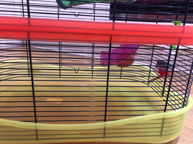 Hamster cage