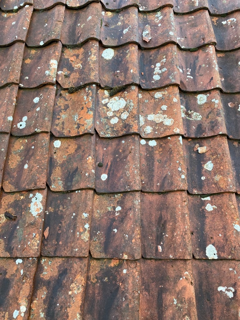 1200+ pan roof tiles reclaimed antique DIY clay