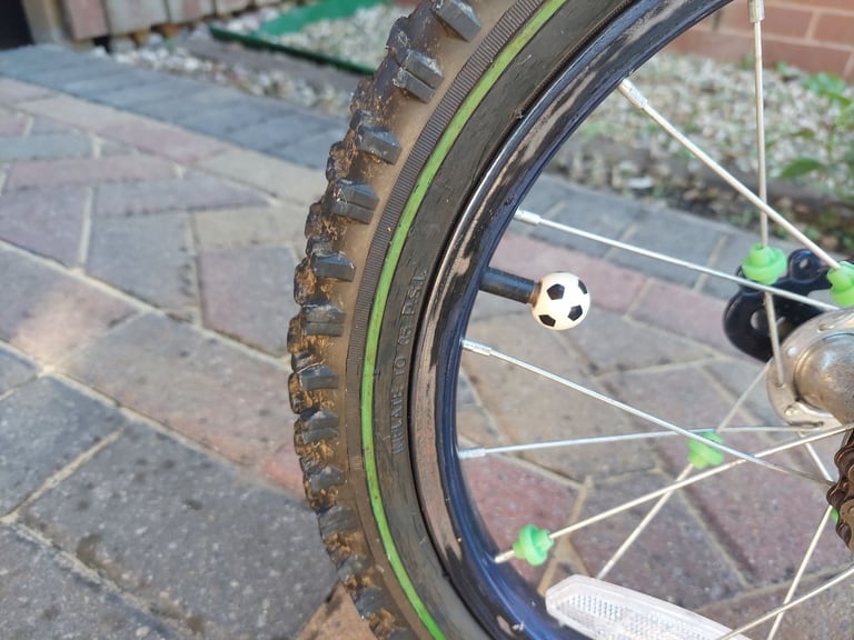 Raleigh Striker 16" Bicycle