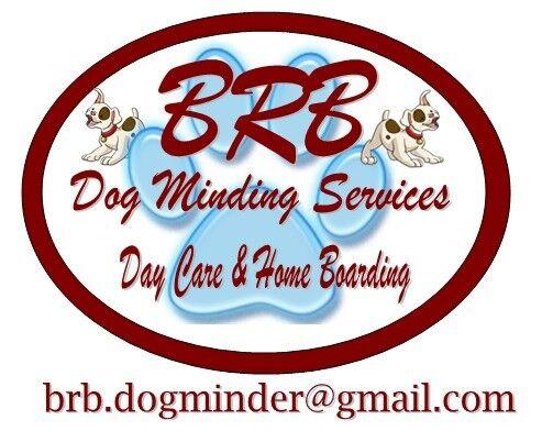 BRB Dog Minding Services (BRB-DMS)  -  Doggy Day Care & Home Boarding Service 