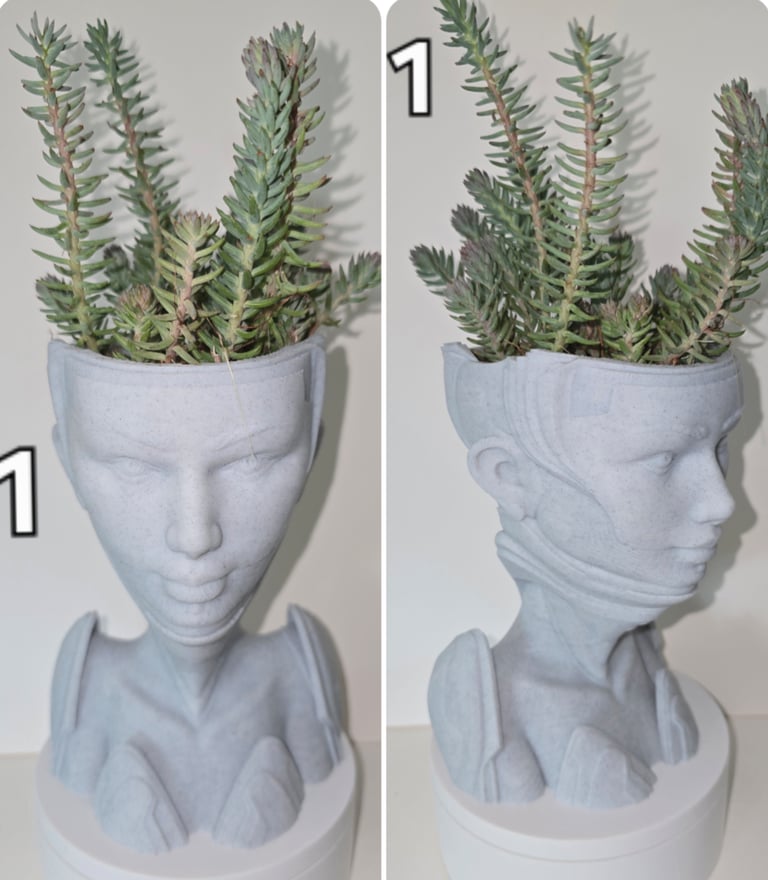 Handcrafted 3D-Printed Marble Effect Plant Pots with Live House Plants
