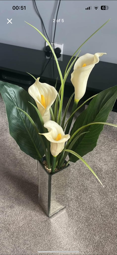 image for Flowers and Vase 