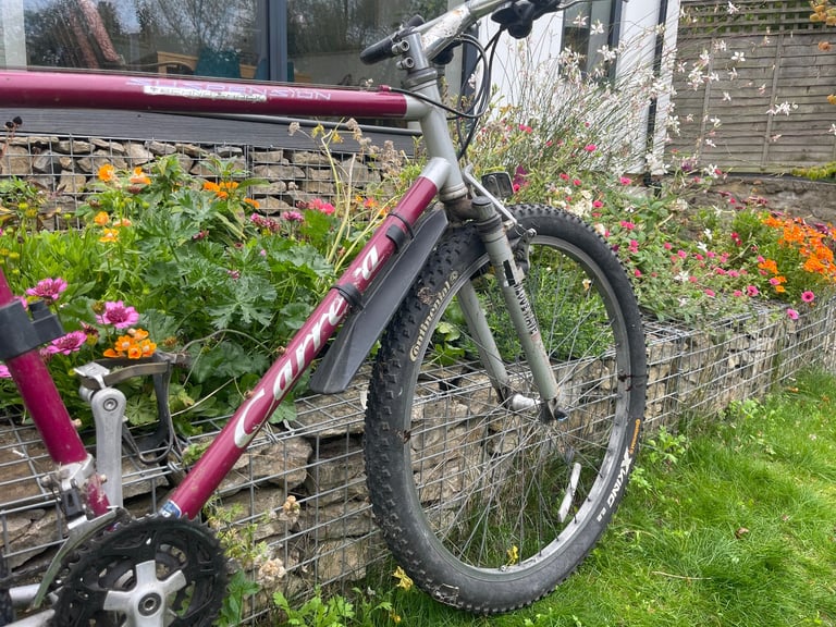 Men’s Carrera Bike