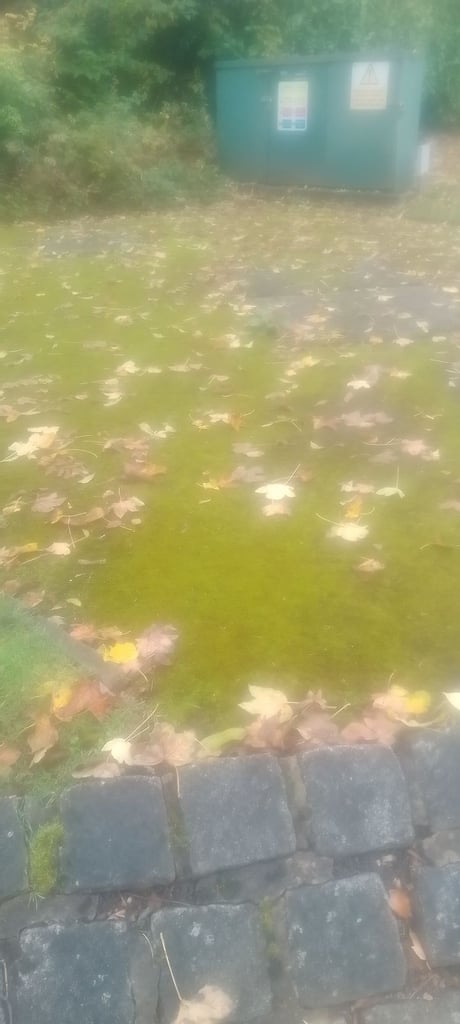 image for Freehold land for sale