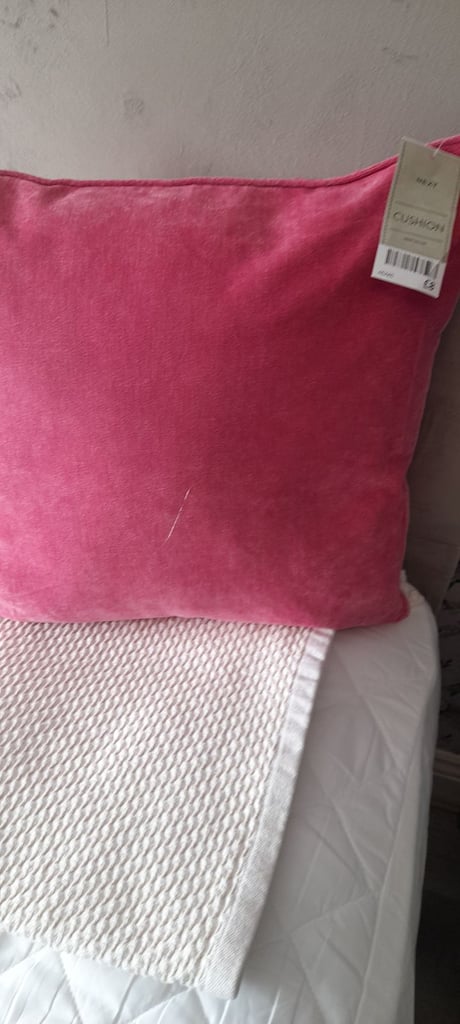 image for Velvet cushion