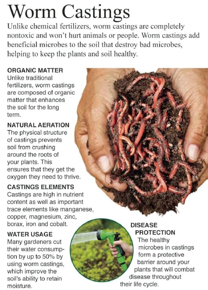 Worm castings/ worm compost / worm manure