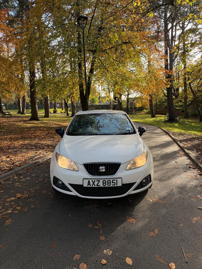 Seat Ibiza Good Stuff 2011 1.4 Petrol