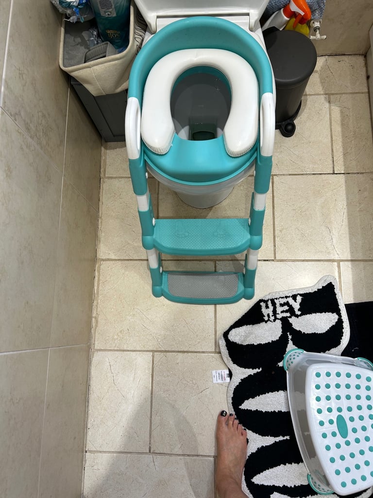 Ladder toilet seat 
