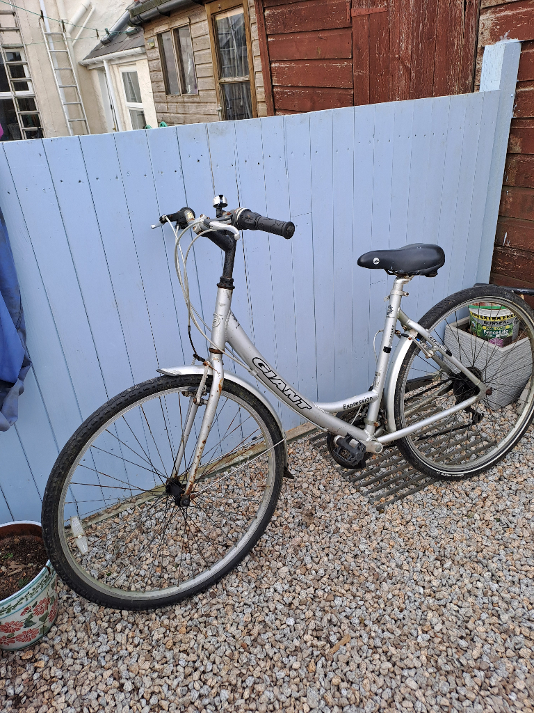 Giant expression Bikes Bicycles Cycles for Sale Gumtree