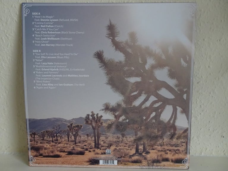 The Picturebooks ‎– The Major Minor Collective Vinyl Limited Edition Mint to 300 copies
