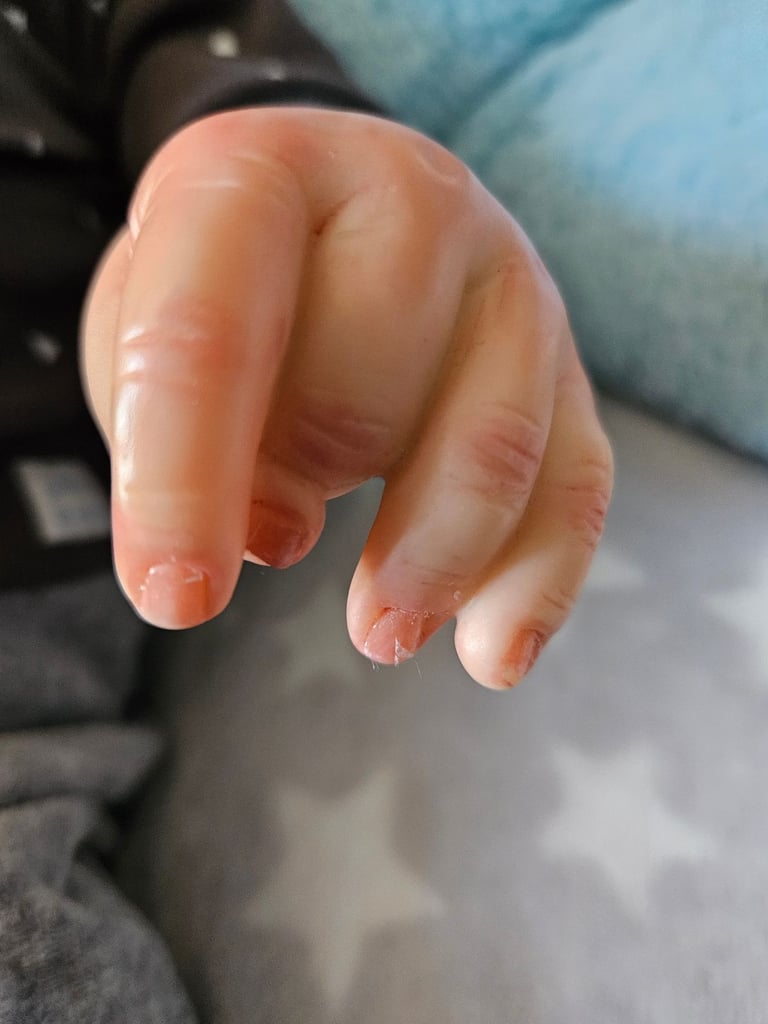 Reborn Pickle doll