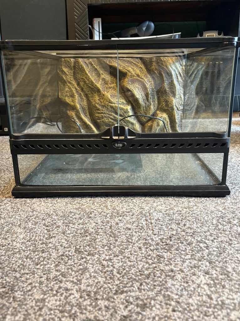 image for Exo terra terrarium reptile enclosure and setup