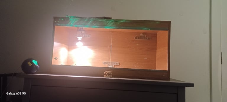 Reptile Terrarium