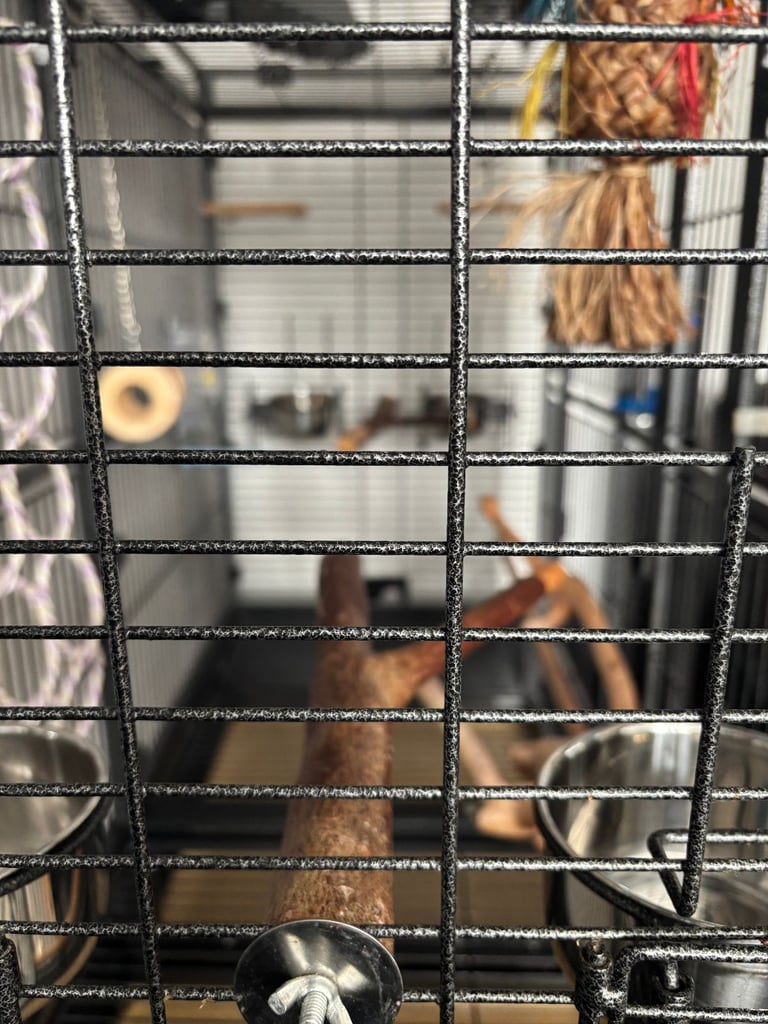Large Parrot Cage