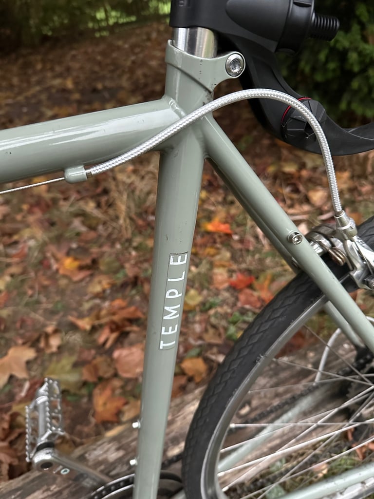 Temple Cycles City Bike Large