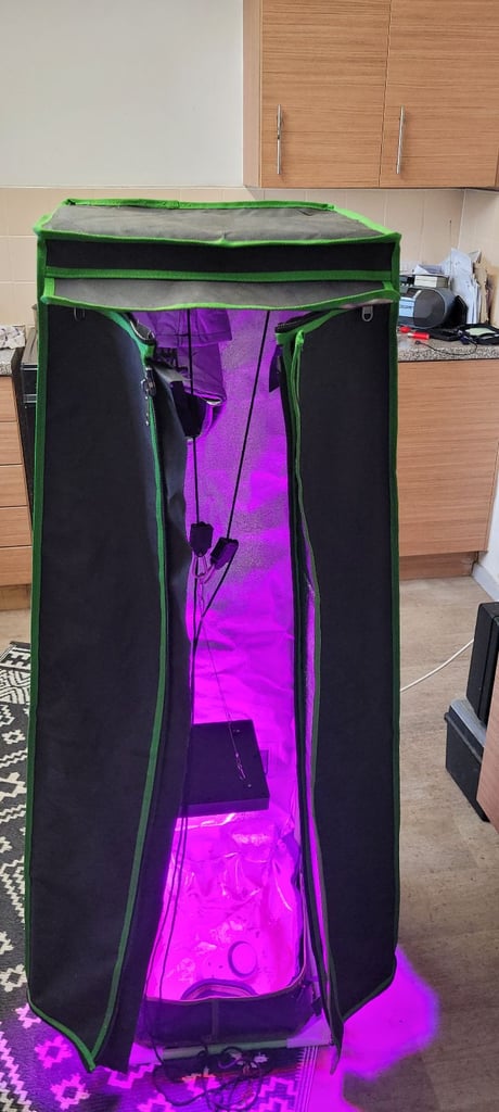 image for Single plant grow tent