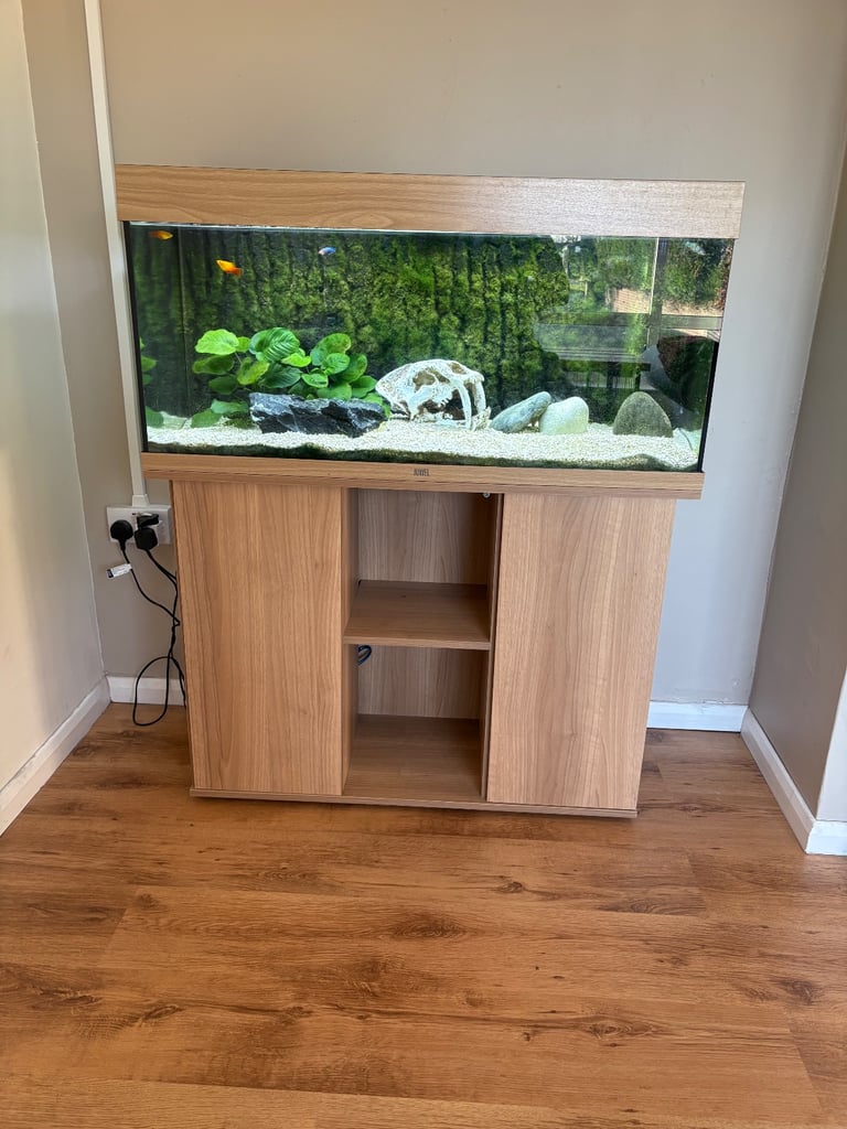 Open to sensible offers - JUWEL fish tank 180L (fish included) 