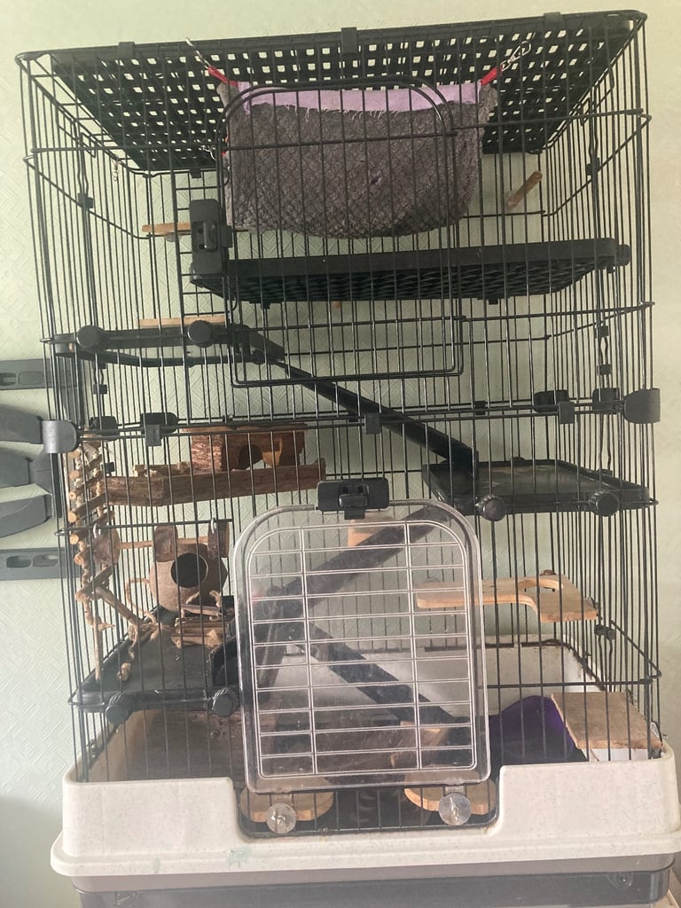 Rat cage