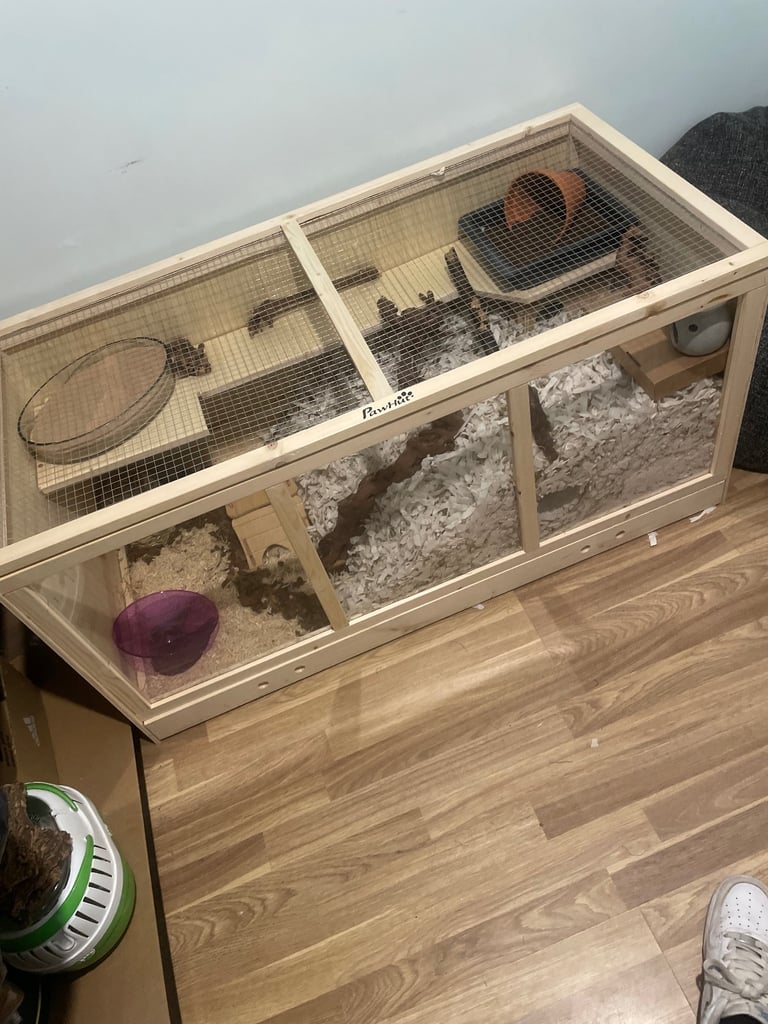 Pawhut hamster cage and lots of accessories for sale