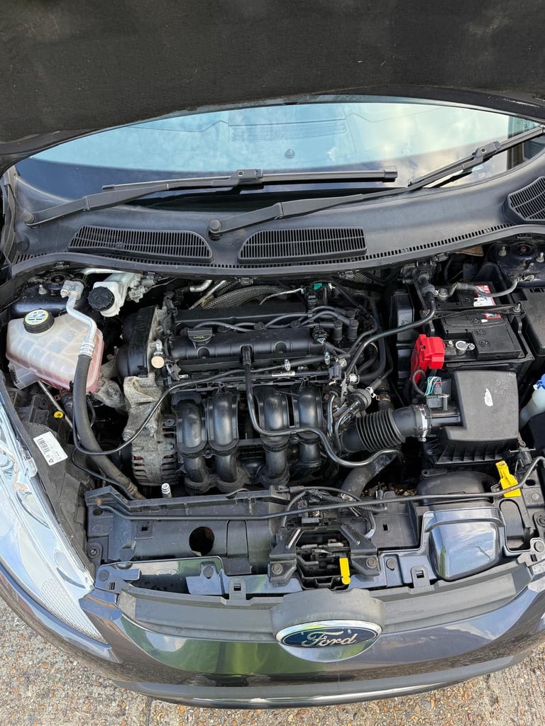 Ford, FIESTA, Hatchback, 2009, Manual, 1596 (cc), 5 doors