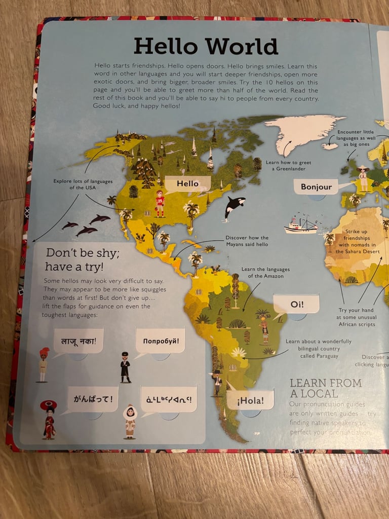 Hello World, hard cover, lift flap book, pick up only 