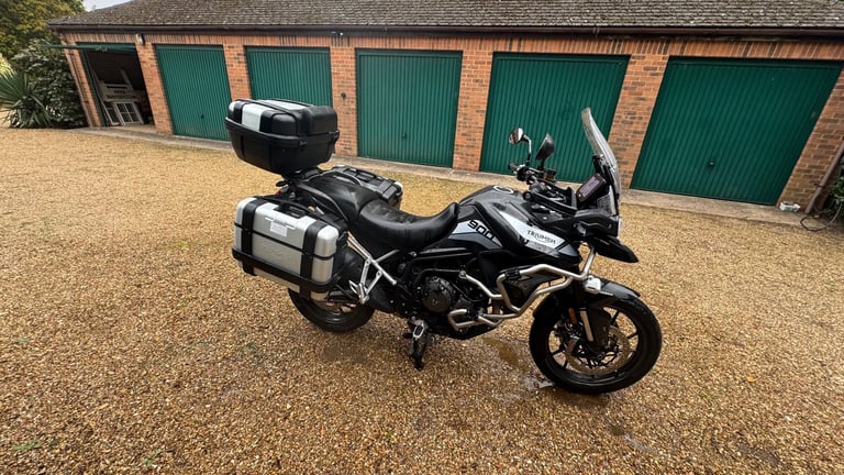 image for Triumph, TIGER, 2023, 888 (cc)