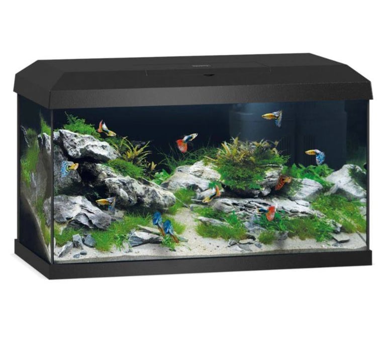 Jewel Aquarium REKORD 60 litre fishtank w/ filter and pads