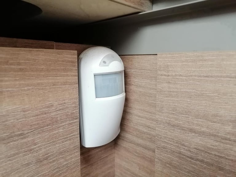 2018 Bailey Unicorn Cabrera