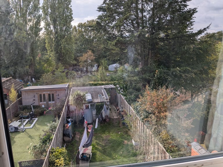 Room(s) for rent in whoberley with live in landlord
